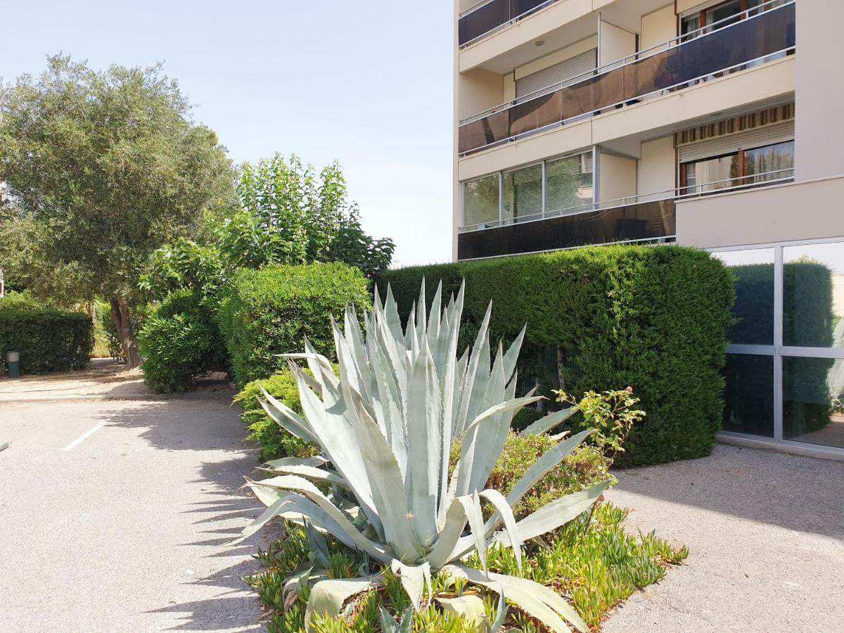 Studio Moderne Avec Parking Et Piscine- 313 Canet-en-Roussillon Eksteriør billede
