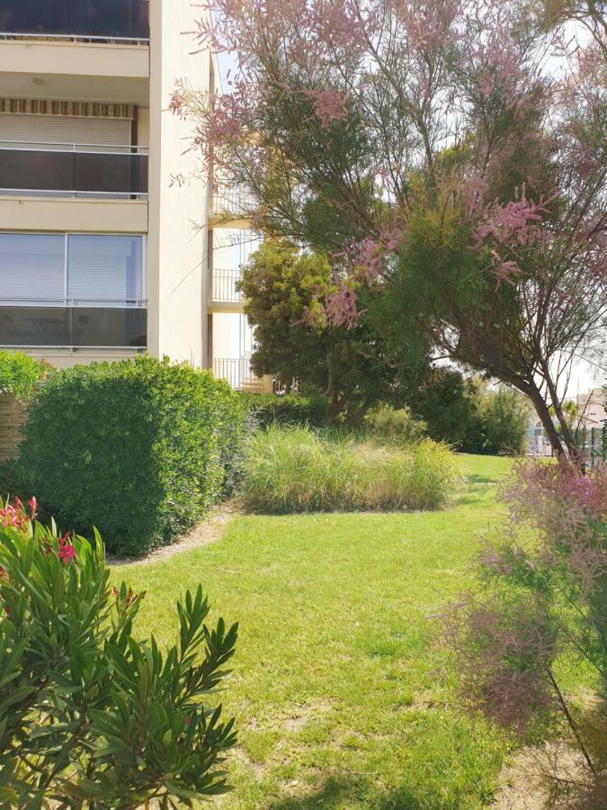 Studio Moderne Avec Parking Et Piscine- 313 Canet-en-Roussillon Eksteriør billede